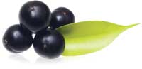 acai