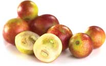 camu camu