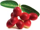 goji