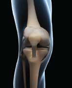 knee