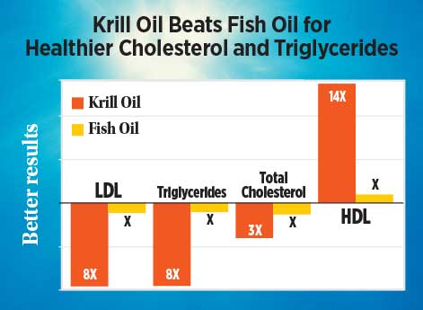 krill beats fish
