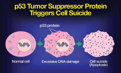 tumor chart