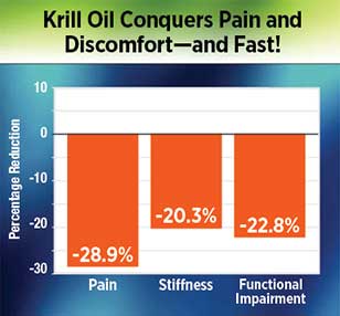 krill-oil-conquers